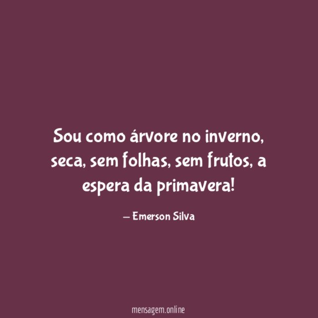 Sou como árvore no inverno
