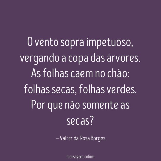 O vento sopra impetuoso,
vergando a copa das árvores.