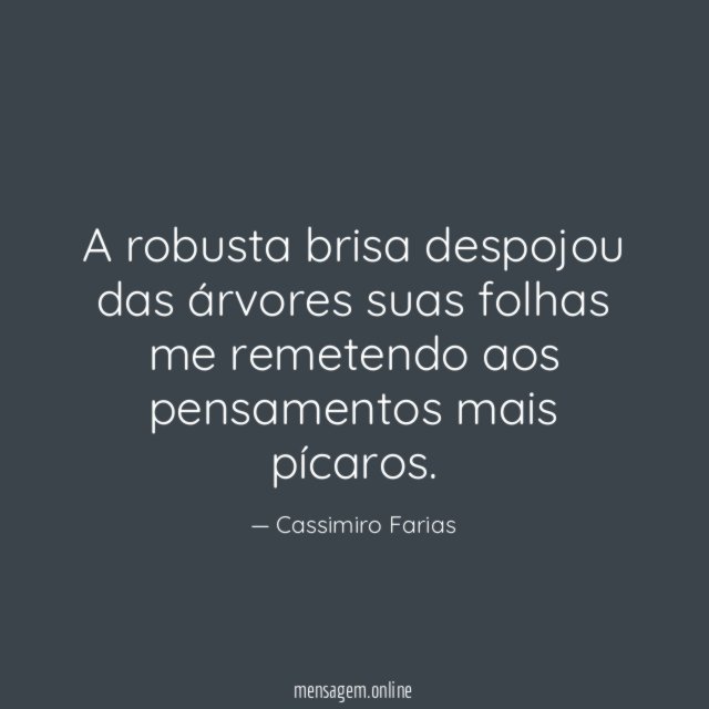A robusta brisa despojou das árvores suas folhas