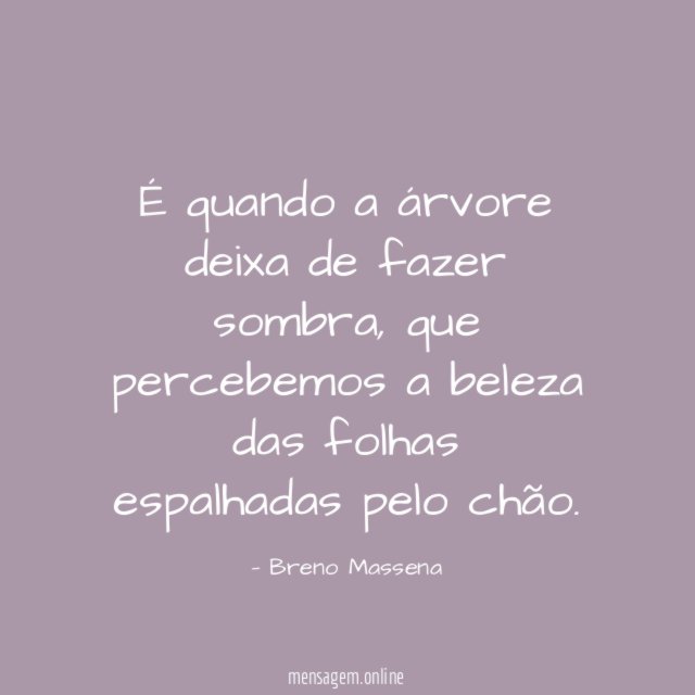 É quando a árvore deixa de fazer sombra