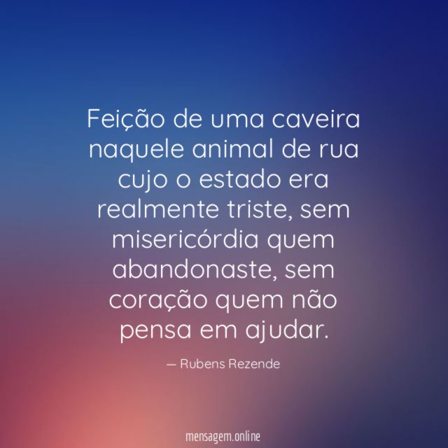 Feição de uma caveira naquele animal de rua