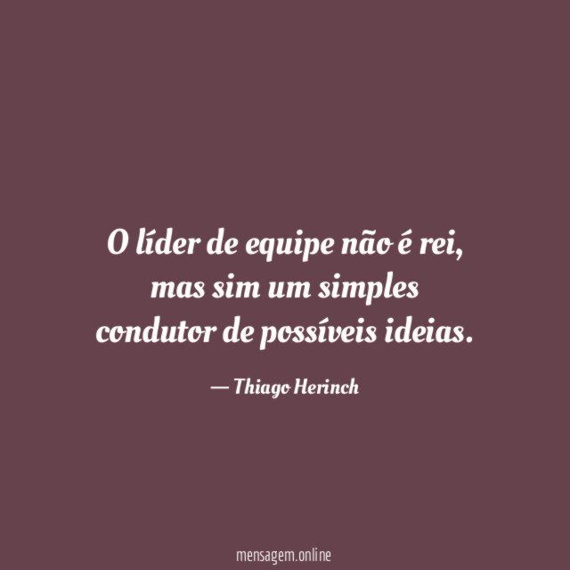 O líder de equipe não é rei