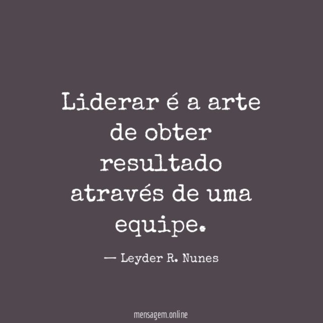 Liderar é a arte de obter resultado através de uma equipe