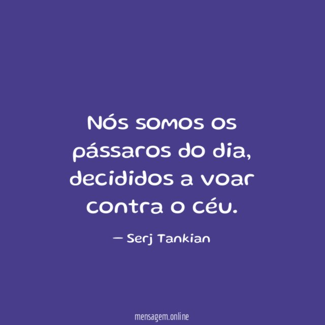 Nós somos os pássaros do dia