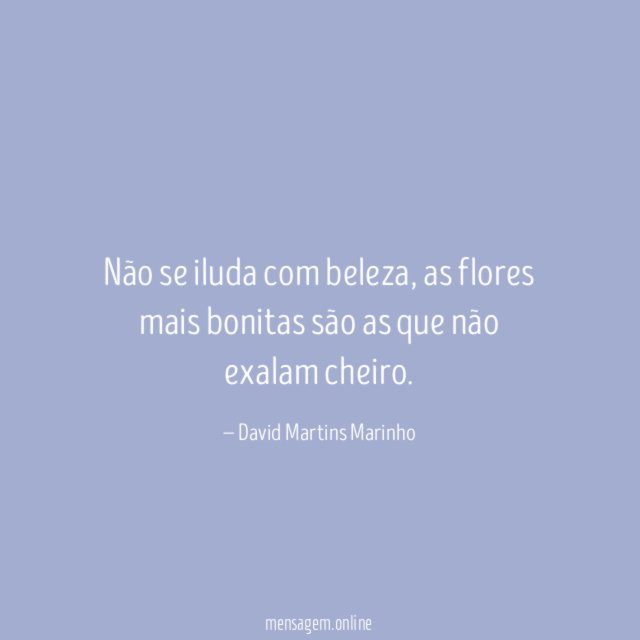 Não se iluda com beleza