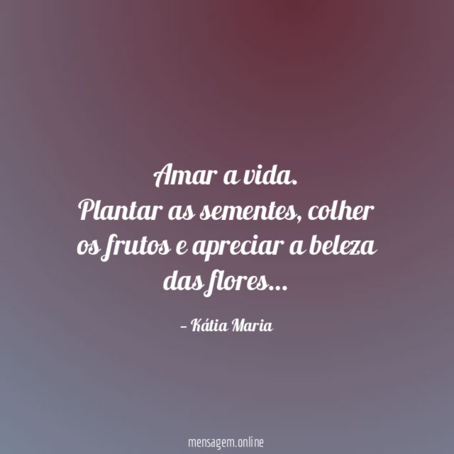 Amar a vida