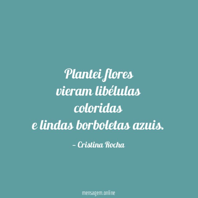 Plantei flores vieram libélulas coloridas e lindas borboletas azuis