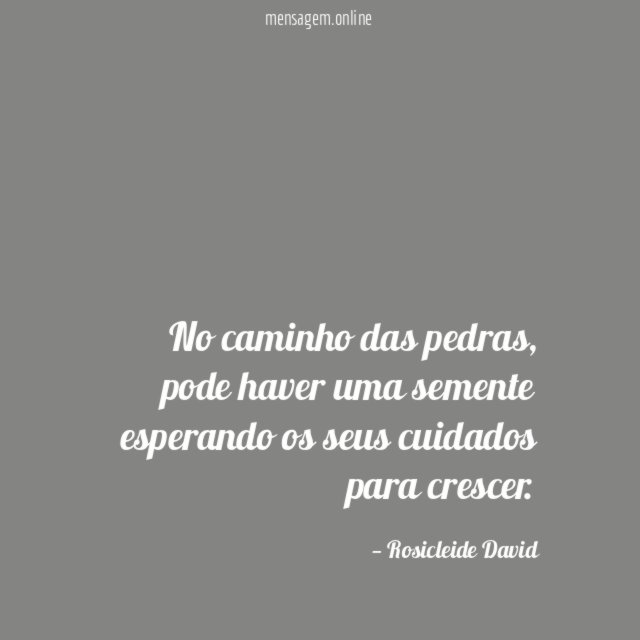 No caminho das pedras