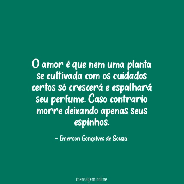 O amor é que nem uma planta se