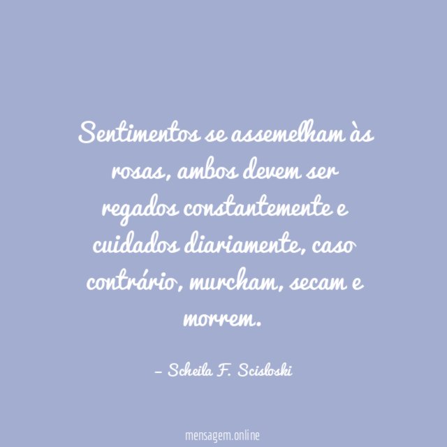 Sentimentos se assemelham às rosas