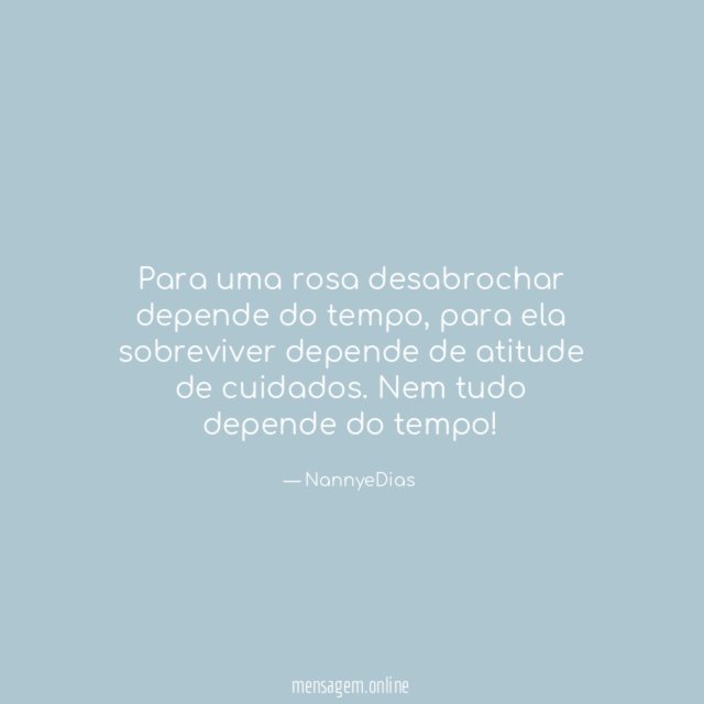 Para uma rosa desabrochar depende do tempo