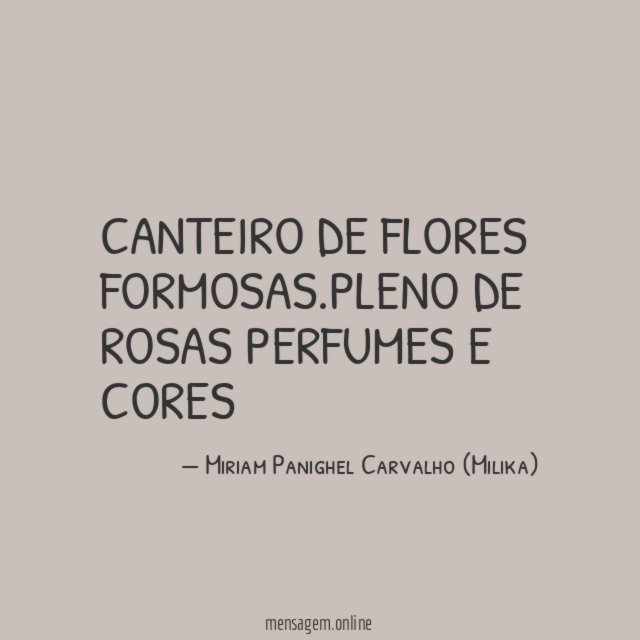 CANTEIRO DE FLORES FORMOSAS