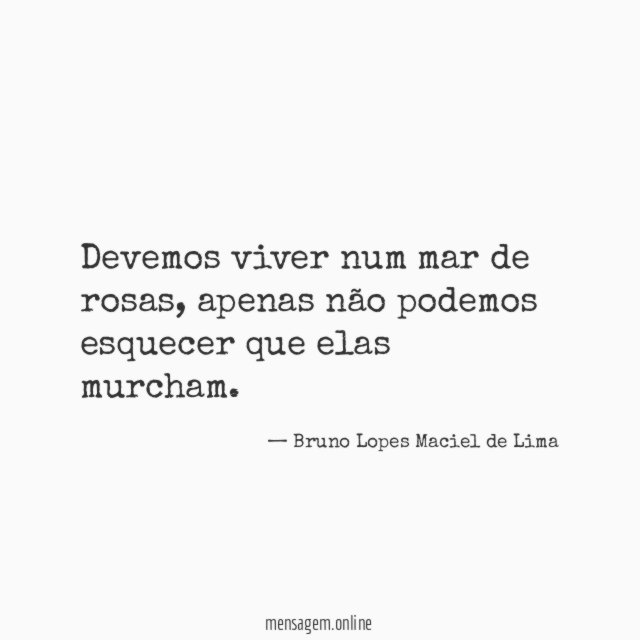Devemos viver num mar de rosas