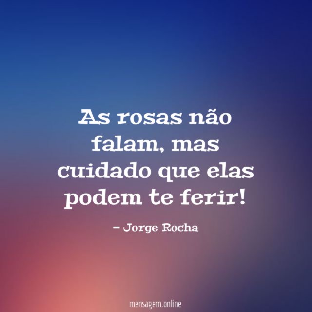 As rosas não falam