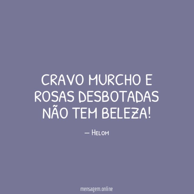 Cravo murcho e rosas desbotadas não tem beleza