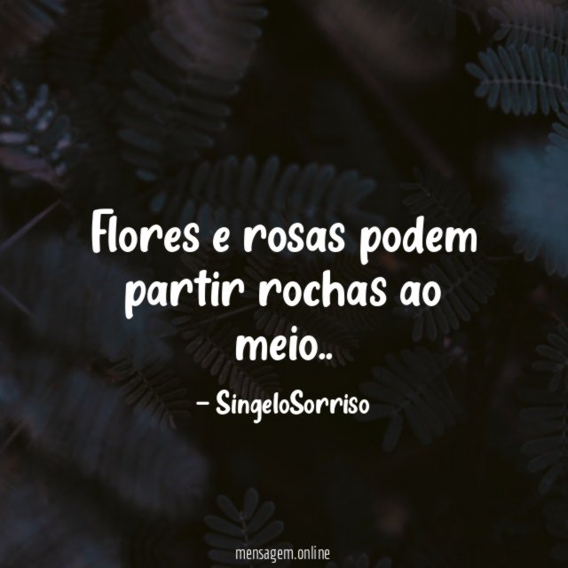 Flores e rosas podem partir rochas ao meio