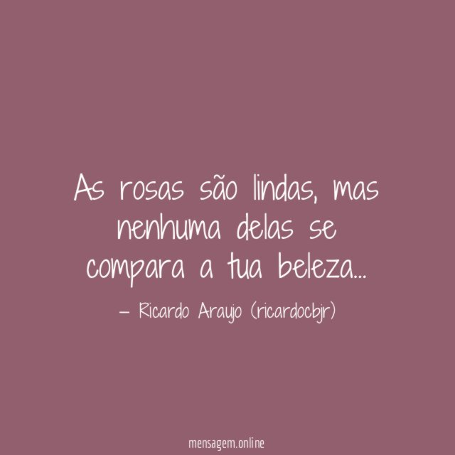 As rosas são lindas