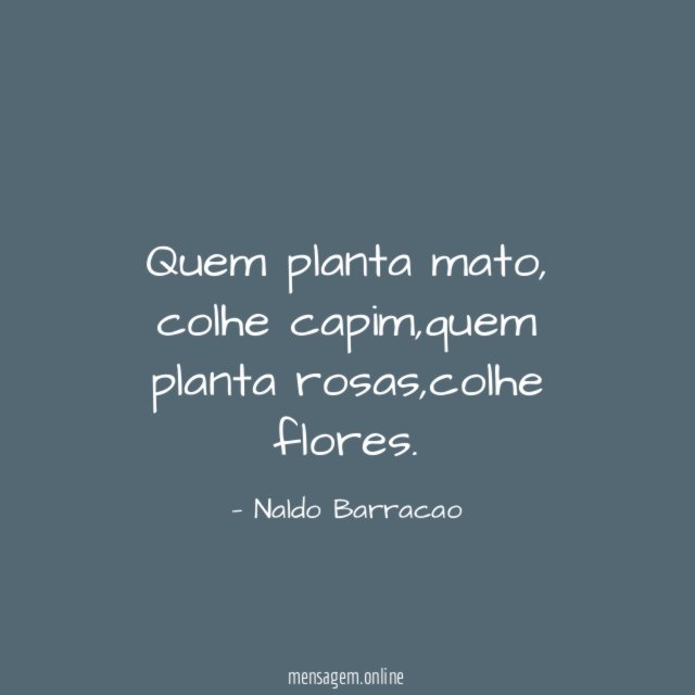 Quem planta mato