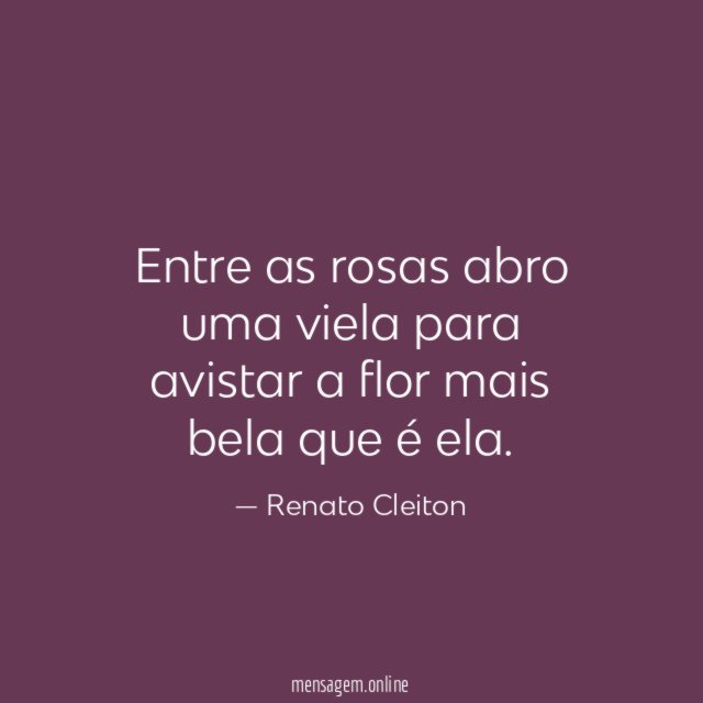 Entre as rosas abro uma viela para avistar