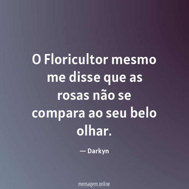 O Floricultor mesmo me disse que as rosas