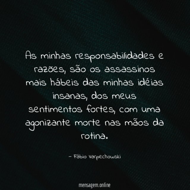 As minhas responsabilidades e razões