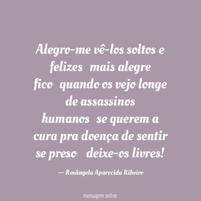 Alegro-me vê-los soltos e felizes