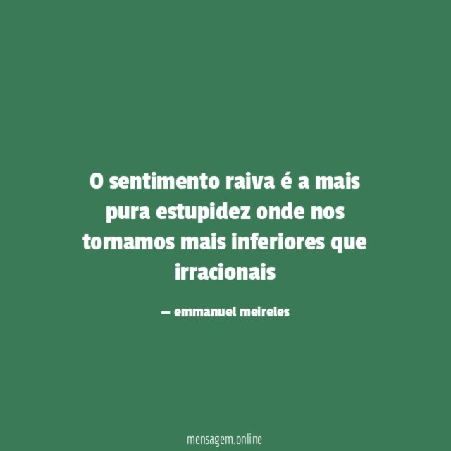 O sentimento raiva é a mais pura estupidez