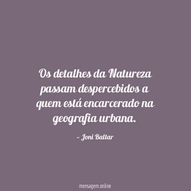 Os detalhes da Natureza passam despercebidos a quem