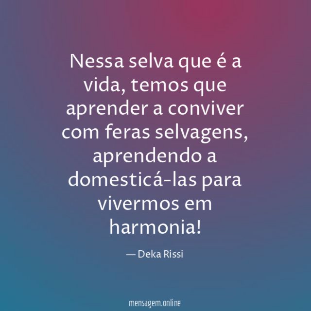 Nessa selva que é a vida