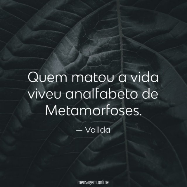 Quem matou a vida viveu analfabeto de Metamorfoses