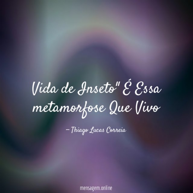 Vida de Inseto" É Essa metamorfose Que Vivo