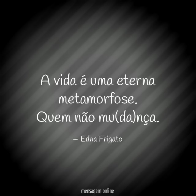 A vida é uma eterna metamorfose