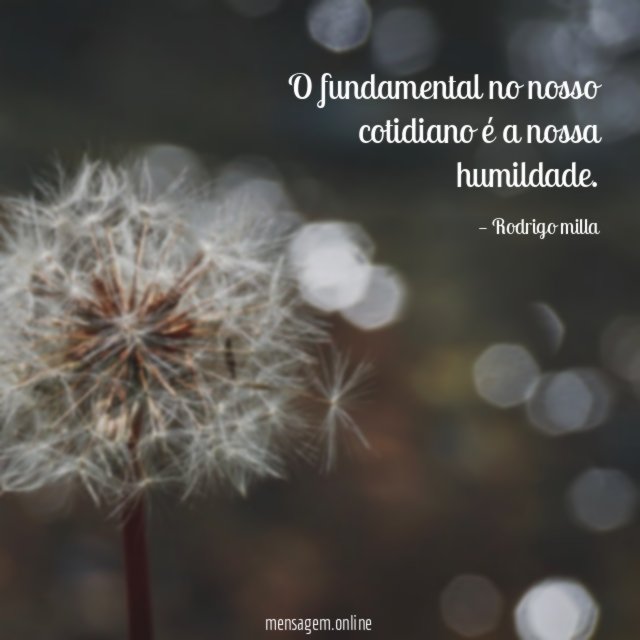 O fundamental no nosso cotidiano é a nossa humildade