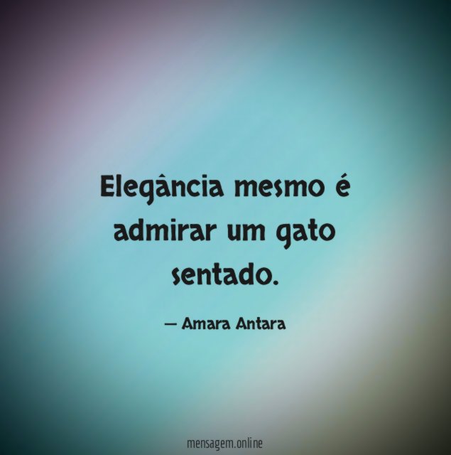Elegância mesmo é admirar um gato sentado