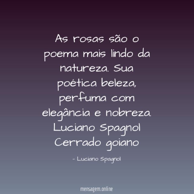 As rosas são o poema mais lindo da natureza. Sua poética beleza, perfuma com elegância e nobreza.