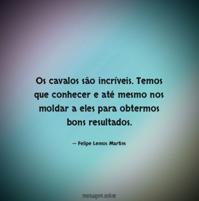 Os cavalos são incríveis