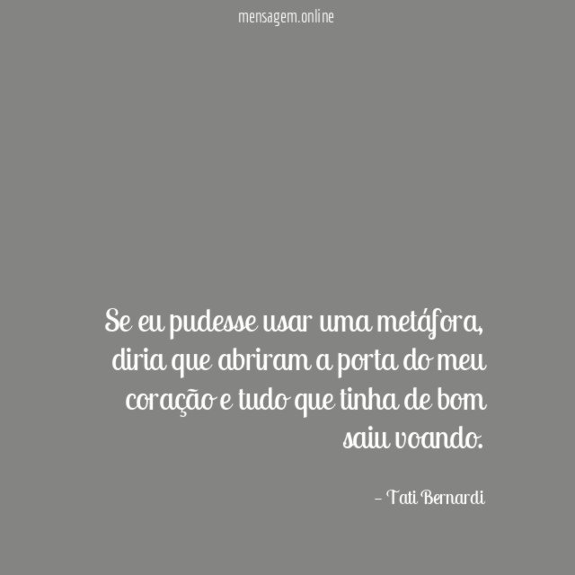 Se eu pudesse usar uma metáfora