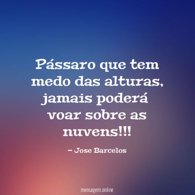 Pássaro que tem medo das alturas