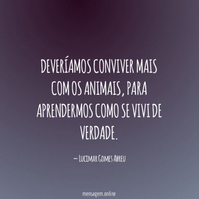 Deveríamos conviver mais com os animais