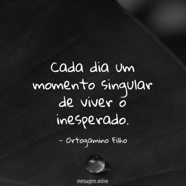 Cada dia um momento singular de viver o inesperado