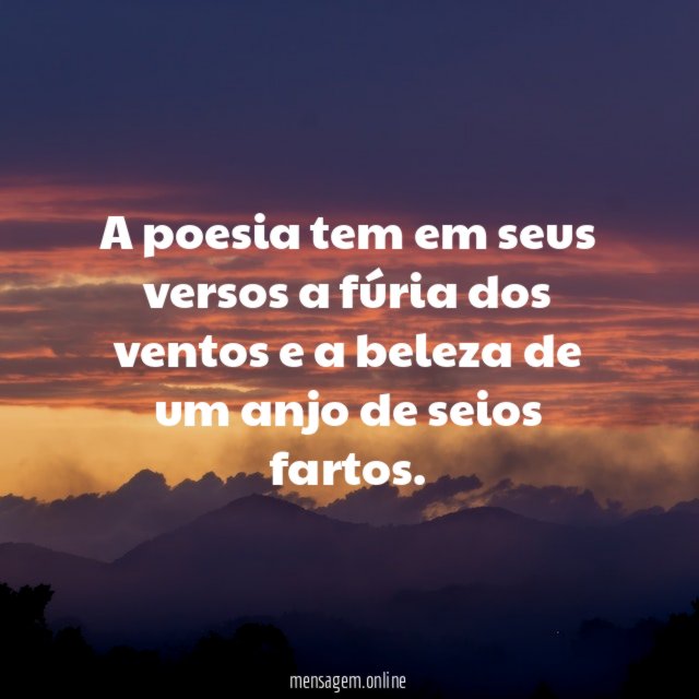 A poesia tem em seus versos a fúria