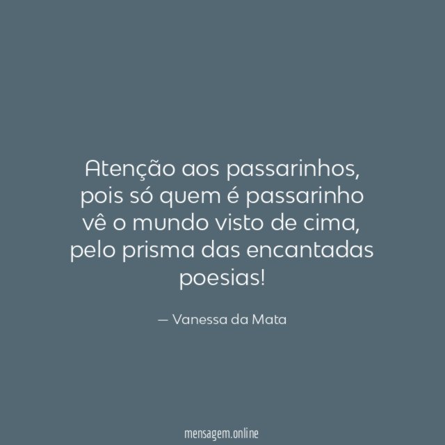 Atenção aos passarinhos
