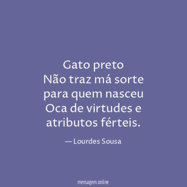 Gato preto Não traz má sorte para quem nasceu Oca