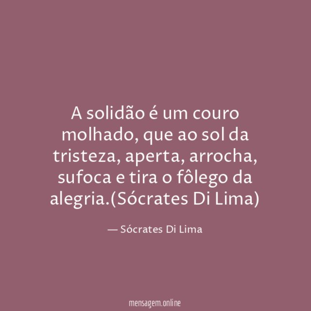 A solidão é um couro molhado