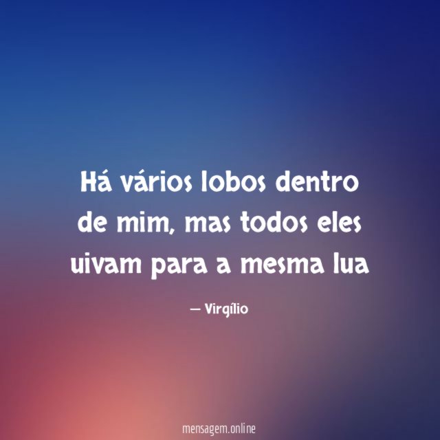 Há vários lobos dentro de mim