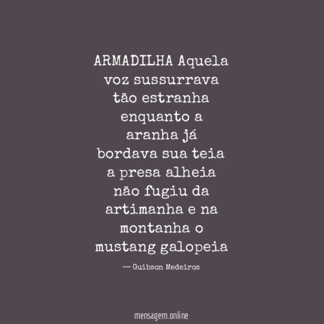 ARMADILHA