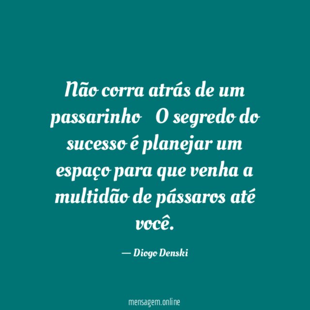 Não corra atrás de um passarinho