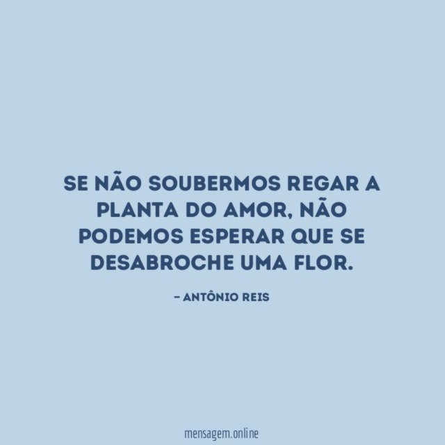Se não soubermos regar a planta do amor