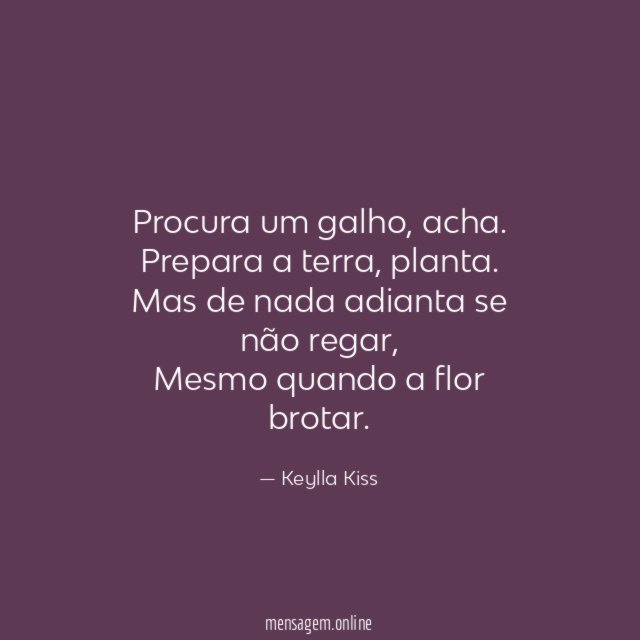 Procura um galho
