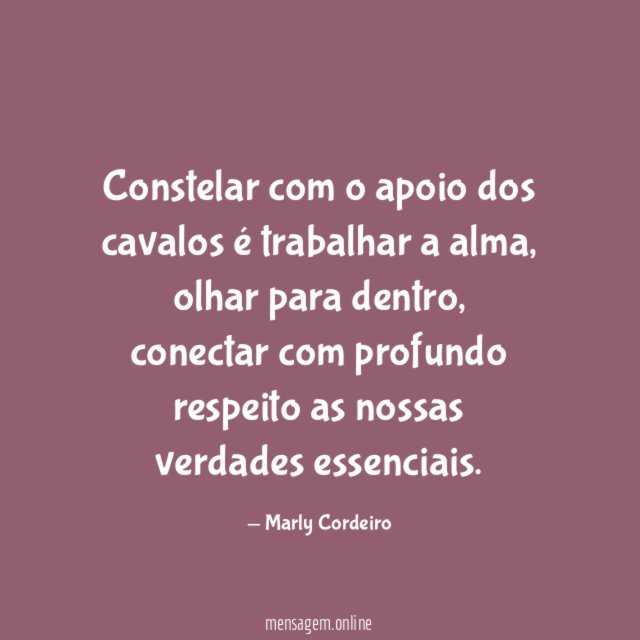 Constelar com o apoio dos cavalos é trabalhar a alma